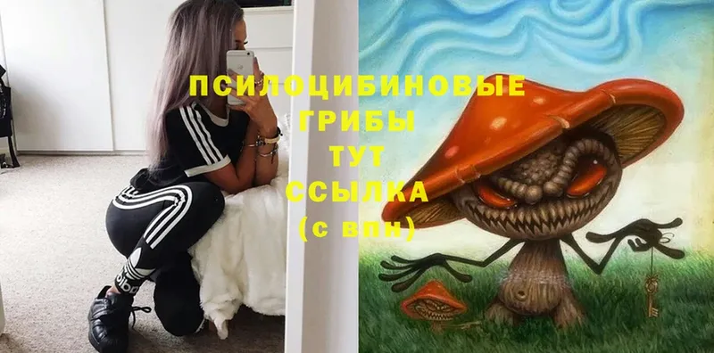 Галлюциногенные грибы Psilocybine cubensis  купить   нарко площадка телеграм  Комсомольск 